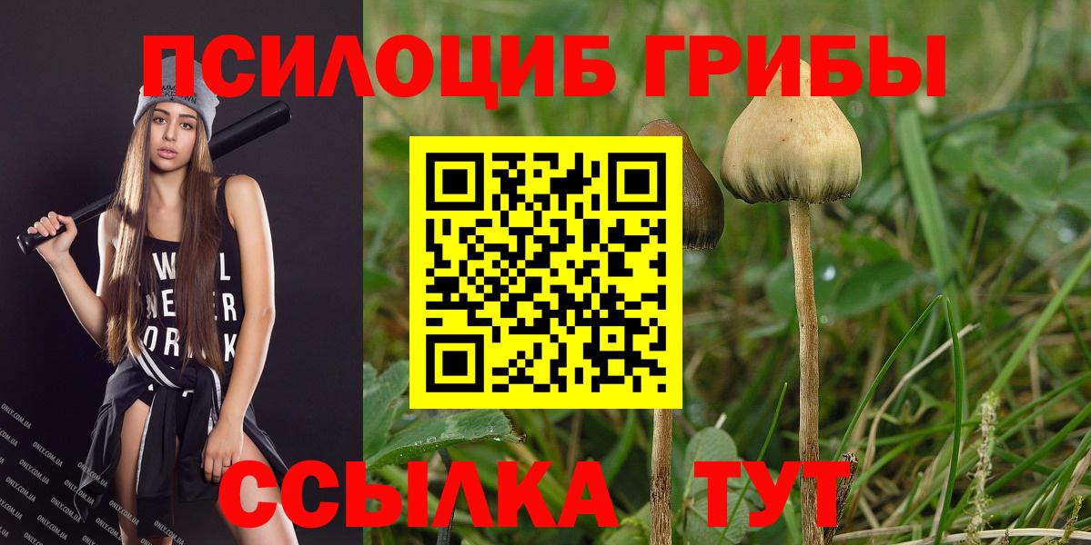 Псилоцибиновые грибы мицелий Ухта